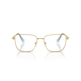 SWAROVSKI SK1003 4021