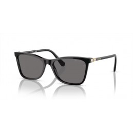Swarovski SK6004 100181 Polarized Swarovski SK6004 100181 Polarized