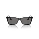 Swarovski SK6004 100181 Polarized