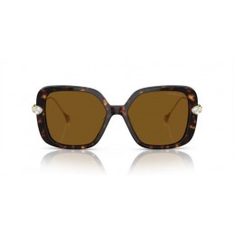 Swarovski SK6011 100283 Polarized Swarovski SK6011 100283 Polarized