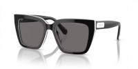 Swarovski SK6013 101581 Polarized