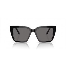 Swarovski SK6013 101581 Polarized Swarovski SK6013 101581 Polarized