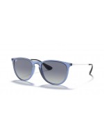 Ray Ban RB4171 65154L ERIKA Ray Ban RB4171 65154L ERIKA