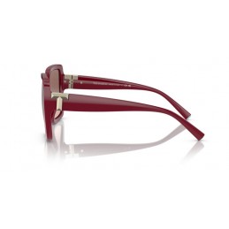 TIFFANY & Co TF4206U 836613