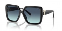 TIFFANY & Co TF4206U 80019S