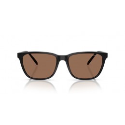 Arnette AN4291 290073 Cortex