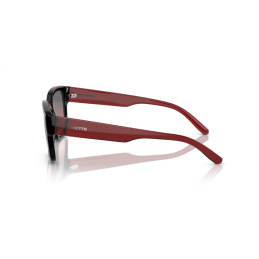 Arnette Hamie AN4325 275377 Arnette Hamie AN4325 275377
