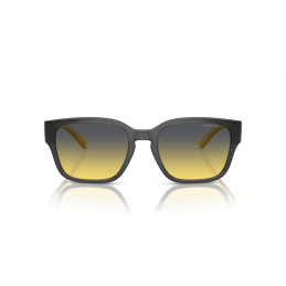 Arnette Hamie AN4325 27862Q Arnette Hamie AN4325 27862Q