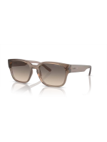 Arnette Hamie AN4325 290613