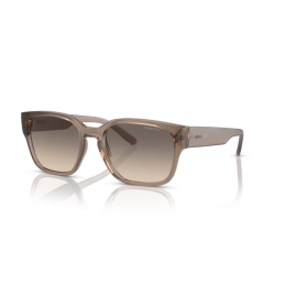Arnette Hamie AN4325 290613 Arnette Hamie AN4325 290613