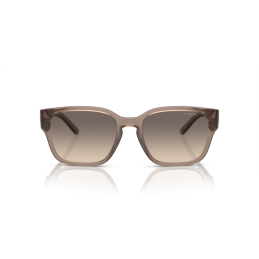 Arnette Hamie AN4325 290613 Arnette Hamie AN4325 290613