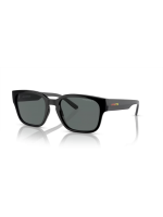 Arnette Hamie AN4325 291081 Polarized