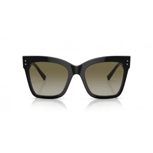 Giorgio Armani AR8175 50018E Giorgio Armani AR8175 50018E