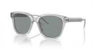 GIORGIO ARMANI AR8210U 608056