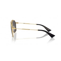 Dolce & Gabbana DG2303 02/87