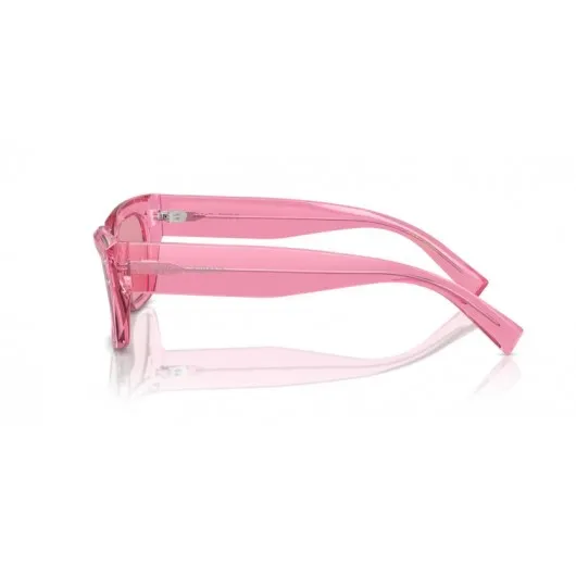 Dolce & Gabbana DG4462 314830 Dolce & Gabbana DG4462 314830