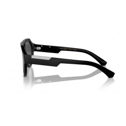 Dolce & Gabbana DG4466 25256G Dolce & Gabbana DG4466 25256G