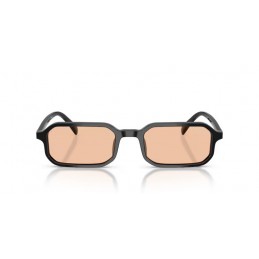 Emporio Armani EA4253U 501793