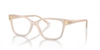 Jimmy Choo JC3012 5025