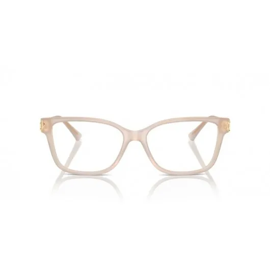 Jimmy Choo JC3012 5025 Jimmy Choo JC3012 5025