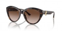 Jimmy Choo JC5007 500213