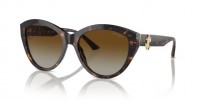 Jimmy Choo JC5007 5002T5