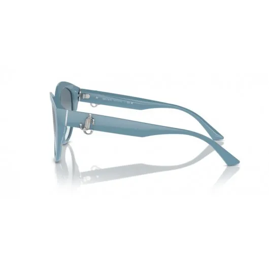 Jimmy Choo JC5007 501219 Jimmy Choo JC5007 501219