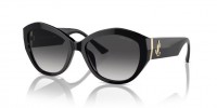 Jimmy Choo JC5013U 50008G