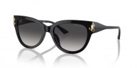 Jimmy Choo JC5018U 50008G