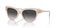 Jimmy Choo JC5018U 50258G