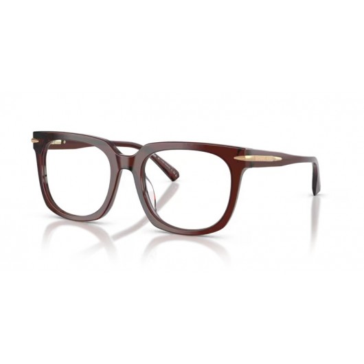 MICHAEL KORS ONTARIO MK4176U 3401