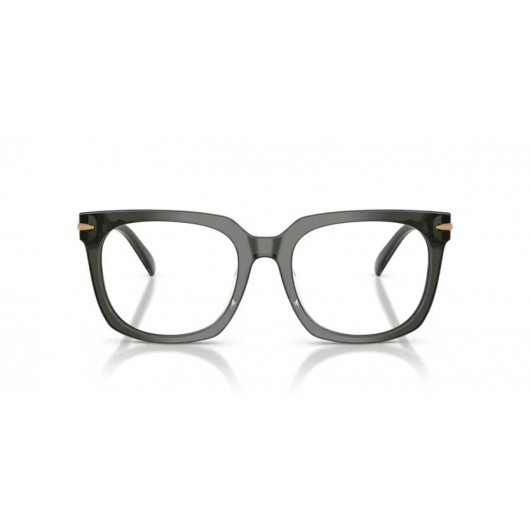 MICHAEL KORS ONTARIO MK4176U 3961