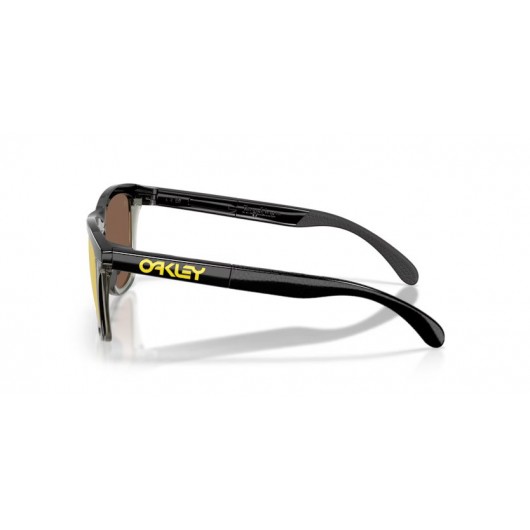 Oakley Frogskins range OO9284 928418 Prizm 24k polarized