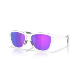 Oakley Frogskins range xl OO9503-950305 Prizm violet