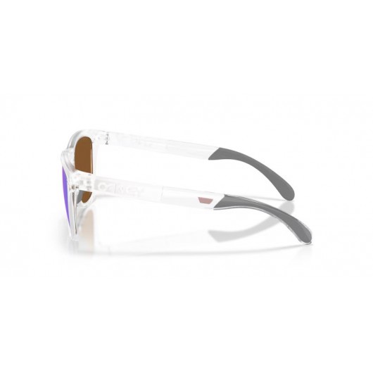 Oakley Frogskins range xl OO9503-950305 Prizm violet