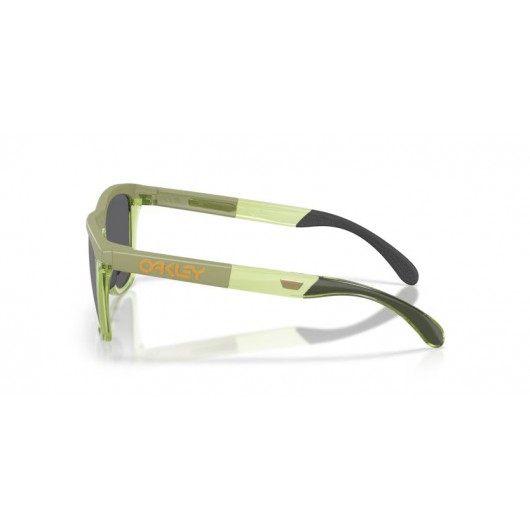 Oakley Frogskins range xl OO9503-950307 Prizm black