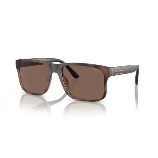 Polo Ralph Lauren PH4195U 607073 Polo Ralph Lauren PH4195U 607073