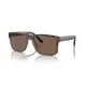 Polo Ralph Lauren PH4195U 607073 Polo Ralph Lauren PH4195U 607073
