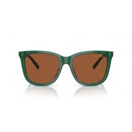 Polo Ralph Lauren PH4201U 619573 Polo Ralph Lauren PH4201U 619573