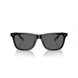 Polo Ralph Lauren PH4205U 500187 Polo Ralph Lauren PH4205U 500187