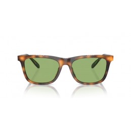 Polo Ralph Lauren PH4205U 6089/2 Polo Ralph Lauren PH4205U 6089/2