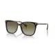 Ralph By Ralph Lauren RA5293 60378E Ralph By Ralph Lauren RA5293 60378E