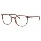 RAY BAN ELLIOT RX5397 8175 ΔΩΡΟ (ΟΡΓΑΝΙΚΟΙ ΦΑΚΟΙ UNCOATED 1.5) - RayBan RAY BAN ELLIOT RX5397 8175 ΔΩΡΟ (ΟΡΓΑΝΙΚΟΙ ΦΑΚΟΙ UNCOATED 1.5) - RayBan