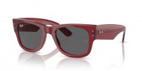 Ray Ban MEGA WAYFARER RB0840S 6679B1