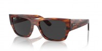 Ray Ban Carlos RB0947S 954/48
