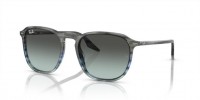 Ray Ban RB2203 1391GK