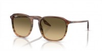 Ray Ban RB2203 13920A