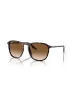 Ray Ban RB2203 902/51 Ray Ban RB2203 902/51