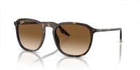 Ray Ban RB2203 902/51