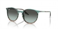 Ray Ban RB2204 1394GK